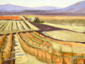 Vineyard%20in%20Sonoma%20CA (thumbnail)