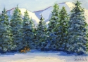Mt%20Shasta%20Meadow%20-%20Snow (thumbnail)