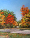 Linda Coulter - Road Home
