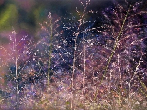 Painting-Landscape-Field of Dreams