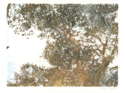 %20Reflection (thumbnail)