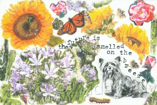 Plants and Animals