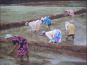 Rice%20Planters (thumbnail)