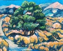 Juniper
