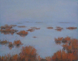 Foggy%20Marsh%202 (thumbnail)