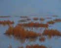 Foggy%20Marsh%203 (thumbnail)