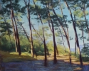 Wind%20Swept%20Trees (thumbnail)