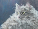 Maku (thumbnail)