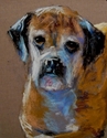 Sable (thumbnail)