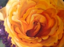 Yellow%20Rose (thumbnail)