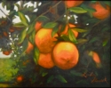 Florida%20Oranges (thumbnail)