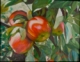 Painting--Oil-BotanicalApple Picking