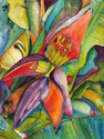 Banana%20Flowers%20and%20Pod (thumbnail)