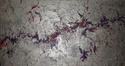 Mixed Media--Non-representationalSerenity