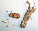 Broken%20Indian%20Corn%20Cob (thumbnail)