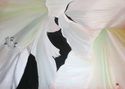 Donna%27s%20Lillies (thumbnail)