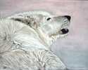 Arctic%20Howl (thumbnail)