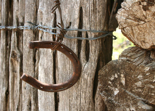 Photography-Good Luck Charm