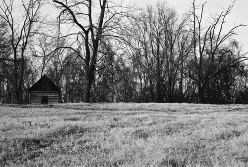 Photography-Landscape-Winter