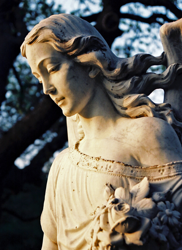 Photography-Peace