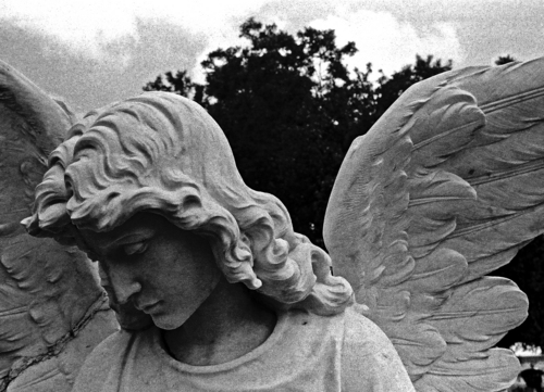 Photography-Angel In Mourning