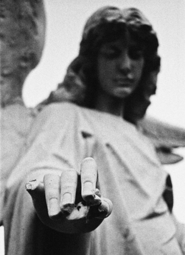 Photography-An Angel's Touch