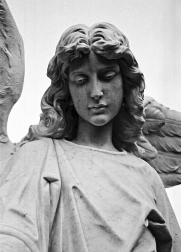 Photography-Heavenly