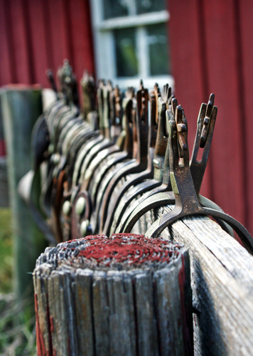 Photography-Spur Line-up