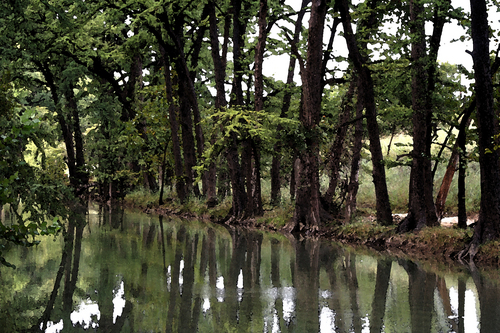 Photography-Nature-Medina River Reflections