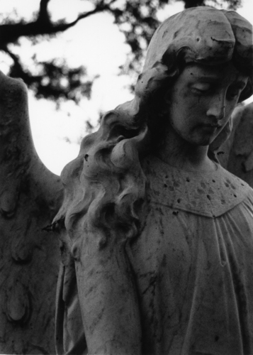 Photography-Angel In Thought