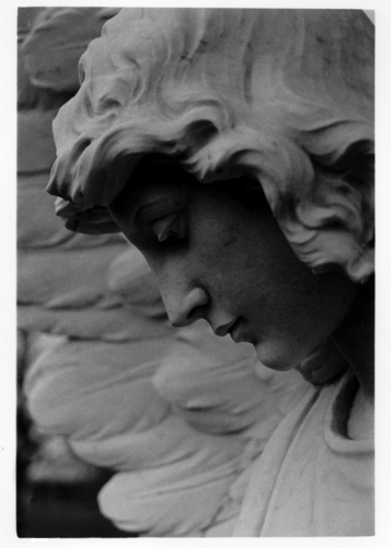 Photography-Angel In Waiting