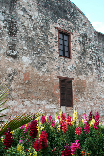 Photography-Back of The Alamo