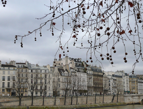 Photography-Gumballs on the Seine