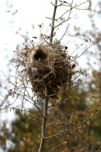 Photography-Andy Birdsworthy