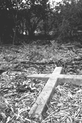 Photography-Fallen Soldier
