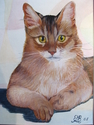 Elizabeth Borkhuis - Regal and Feline