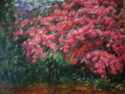 Florida%20Azaleas (thumbnail)
