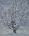 Leah K. Tomaino, Winter, Winter tree, snow covered tree -  Painting