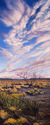 Sky%27s%20the%20Limit (thumbnail)