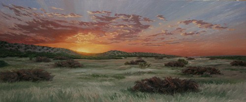 Brush%20Piles%20at%20Sunset (thumbnail)
