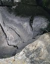 Rock No.1
