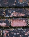 Photography--Color-NatureBrick No.2