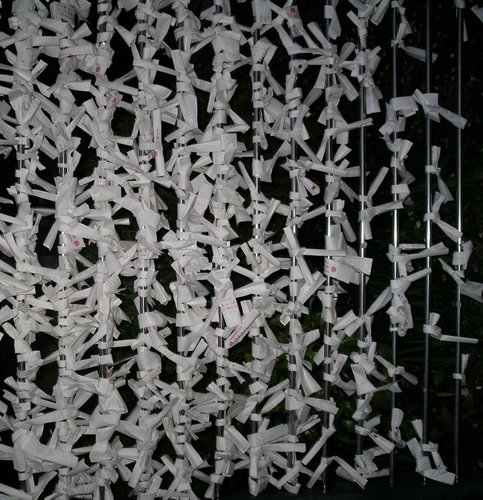 Photography-Origami