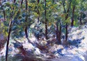 Forest Landscape Forest%20Landscape (thumbnail)