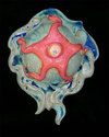 Baby%20starfish%20wall%20pod (thumbnail)