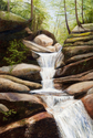 Waterfall%20off%20the%20Kancamagus (thumbnail)
