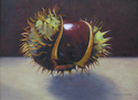 Horse%20Chestnut%2C%20Emerging (thumbnail)