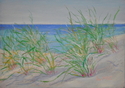 %22Beach%20Sea%20Grass%22 (thumbnail)