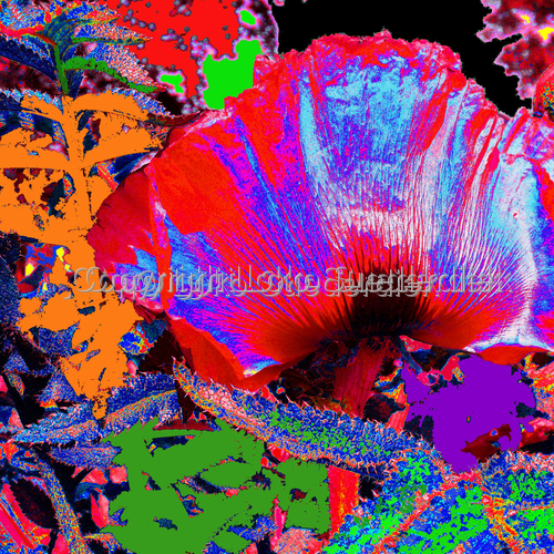 Digital Art 2