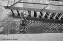 Tension Tension (thumbnail)
